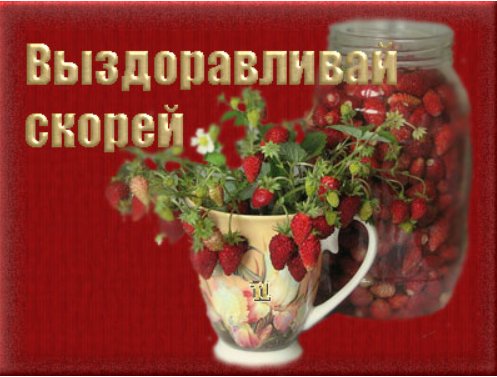 земляника.jpg