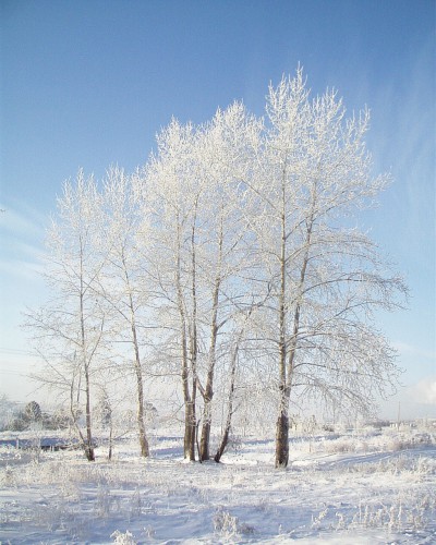 PIC00003_.jpg