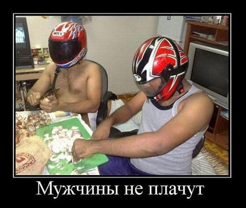лук.jpg