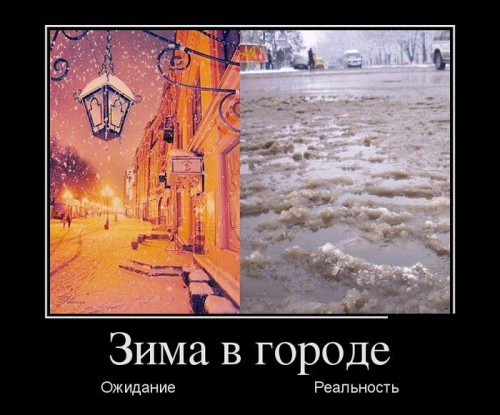original24.jpg