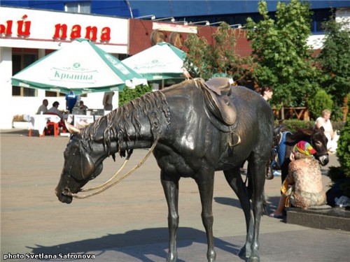 19.jpg