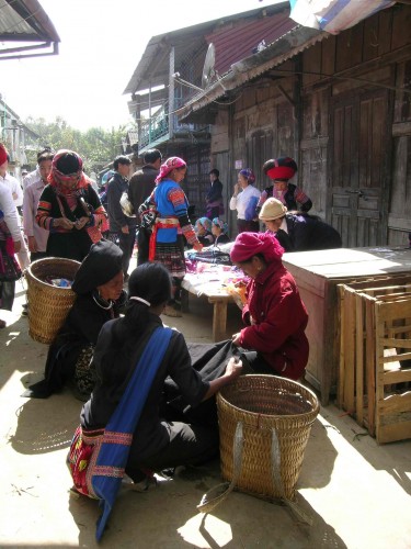 VN07_thu 241.jpg