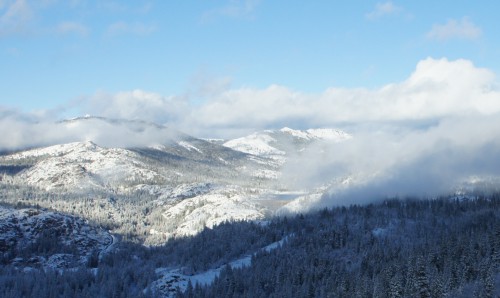 DSC01823_cr.jpg