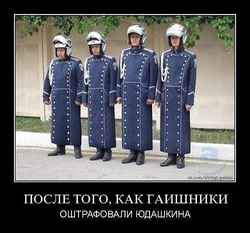 гаи.jpg