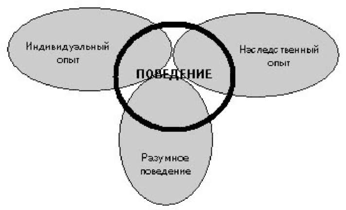 tmpC929-2-БИХЕВИОРИЗМ.jpg