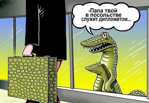 дипл.jpg