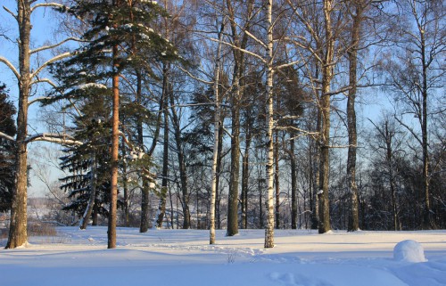 IMG_1181.JPG