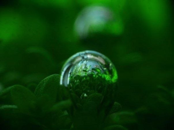 mMO__usWXCw-ИЗУМРУДНОЕ-6.jpg