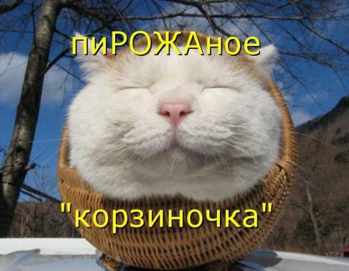 vTmzxuJPtbE.jpg
