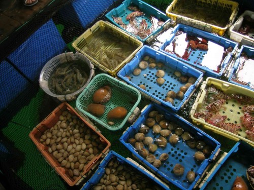 2005VietNam_C 018.jpg