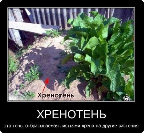 хр.jpg