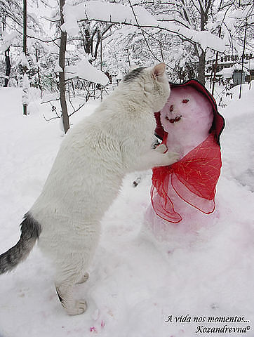 КОТИК И СНЕГОВИК.jpg