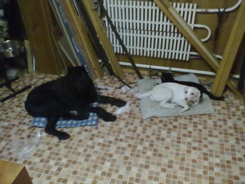 07012012126.jpg