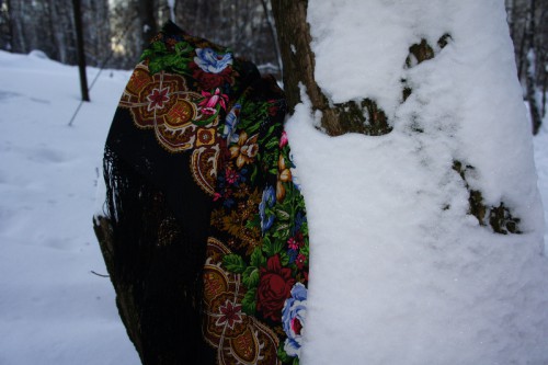 Белые розы-лес.JPG