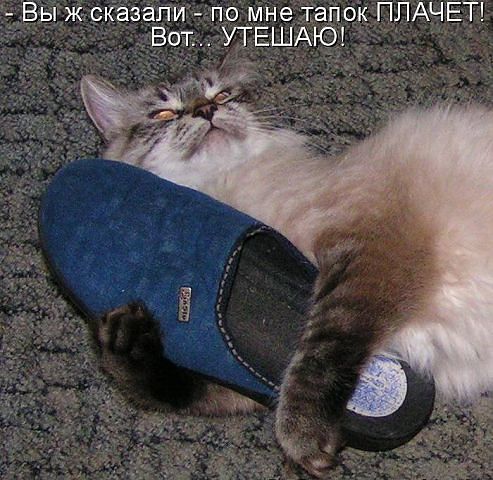 тапок.jpg