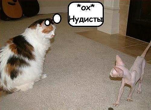 нудисты.jpg