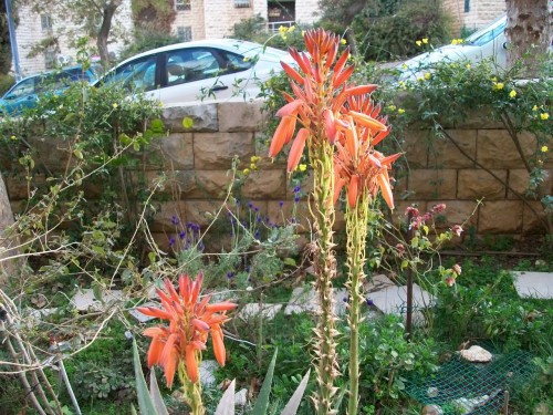 100_2854.JPG