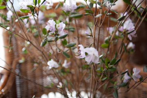 DSC_8402.jpg