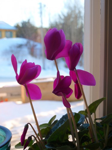 Разное 004.JPG
