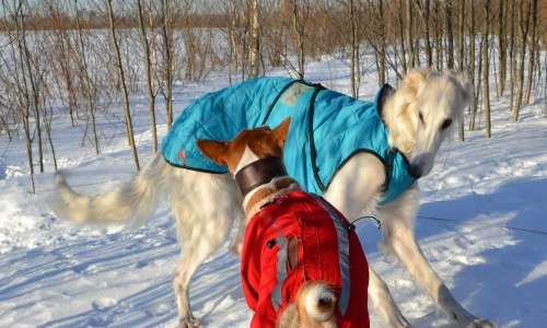 DSC_3257 м.jpg
