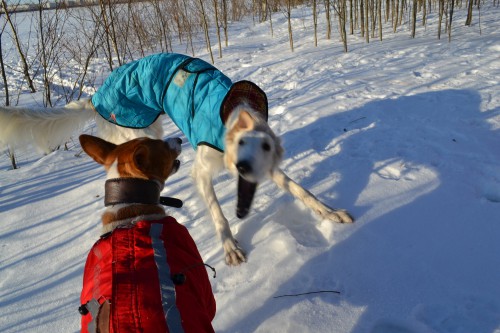 DSC_3259м.jpg