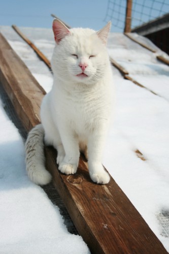 IMG_2201_новый размер.JPG