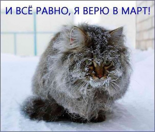 getImage.jpeg