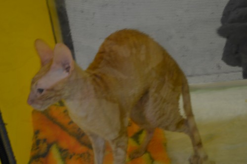 DSC_3357.JPG