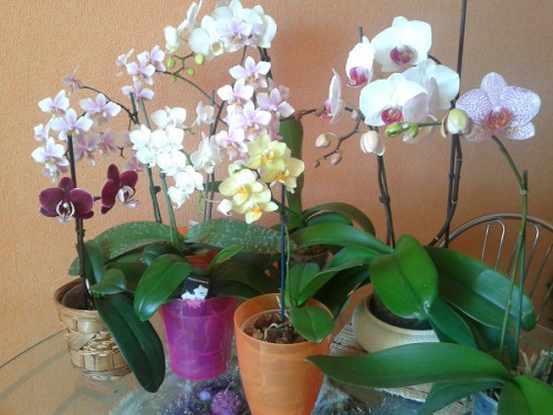 2013-01-27 10.51.28.jpg