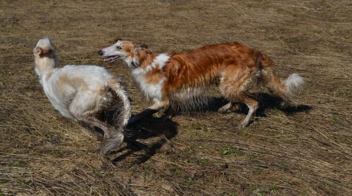 DSC_4544 мал.jpg