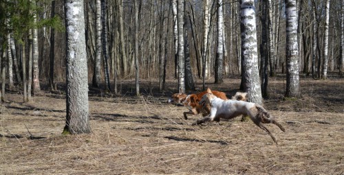 DSC_4536 мал.jpg