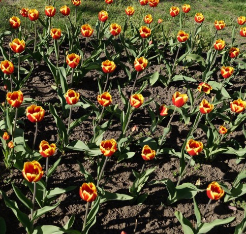 2013-04-27 13-51-04-1_cr.jpg