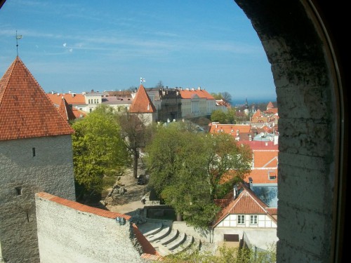 100_3135.JPG
