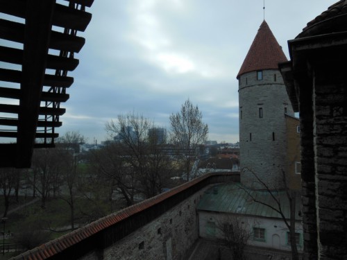 DSCN0181.JPG