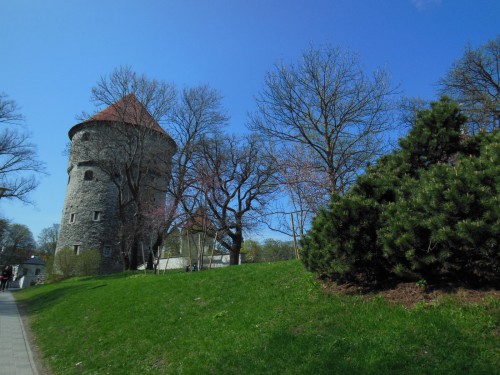 DSCN0342.JPG