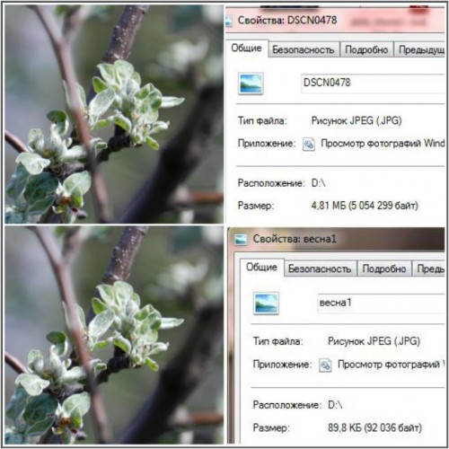 фото_ножницы.JPG