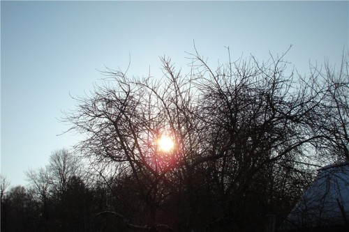 945e5c66ddfb.jpg нов.jpg