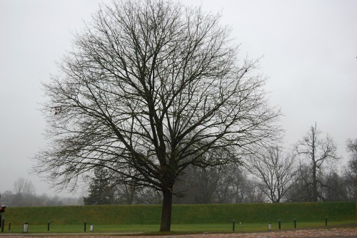 ef4522929de05c0a6661bbf8e621b377.jpg