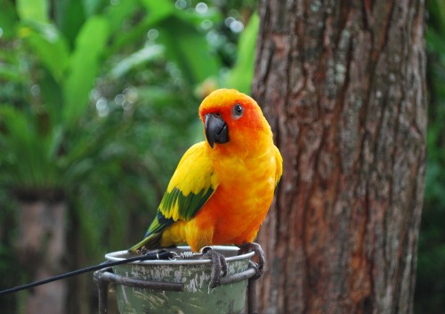 DSC_0713.JPG
