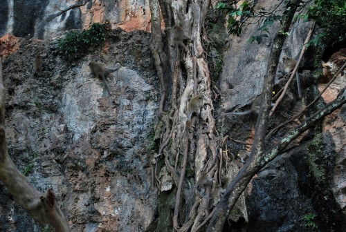 DSC_0684.JPG