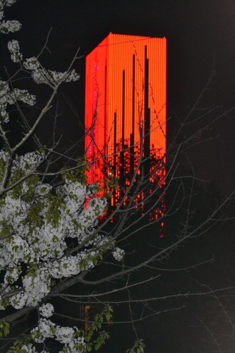 красная.jpg