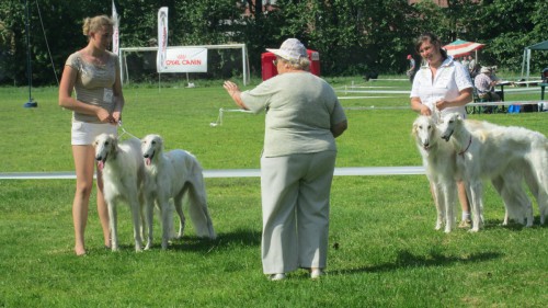 пары.jpg