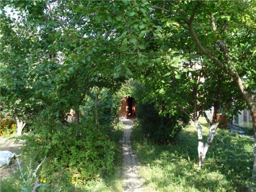 40a798352509.jpg