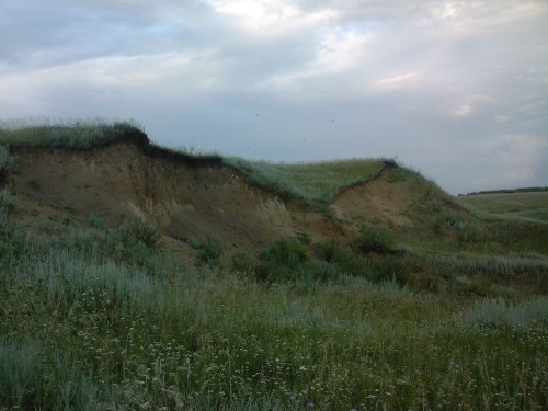 SP_A1305.jpg