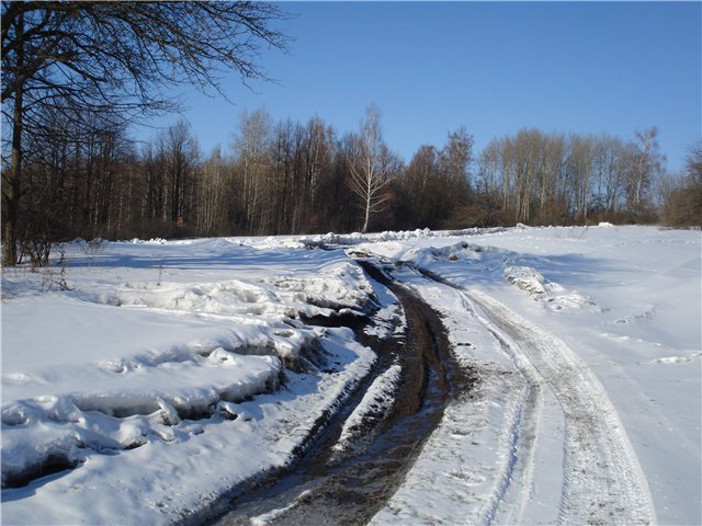 894a3bab4ab8.jpg