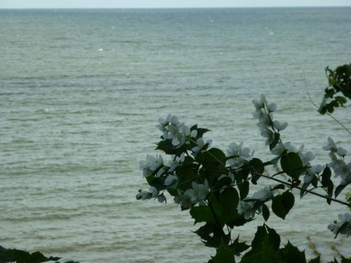 P1110495+.jpg