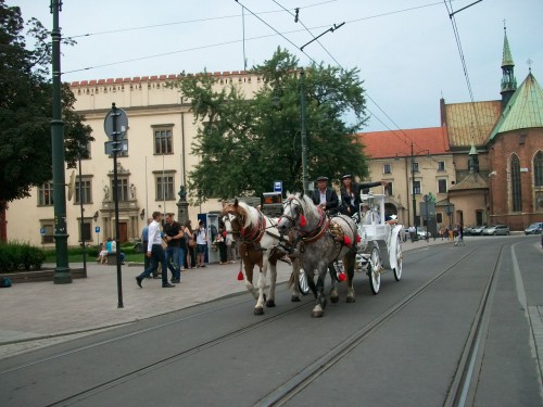 100_3463.JPG