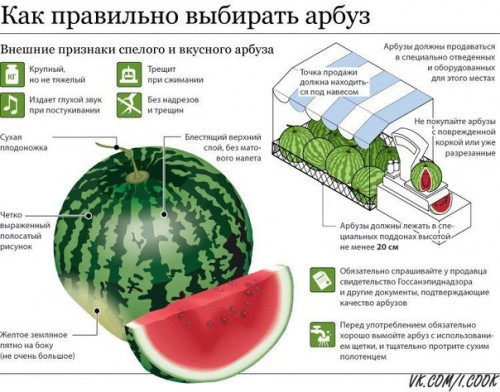 102892344_large_bs_EpXMkBqk.jpg