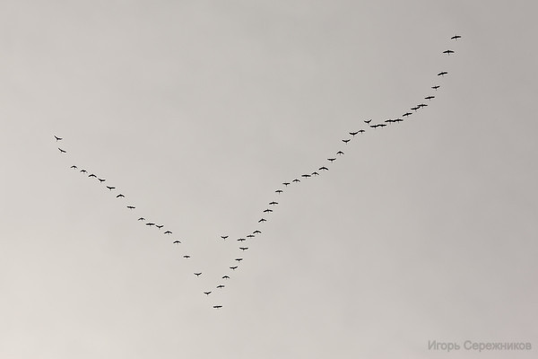 IMG 4016.jpg