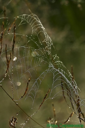 IMG_1263_1.jpg